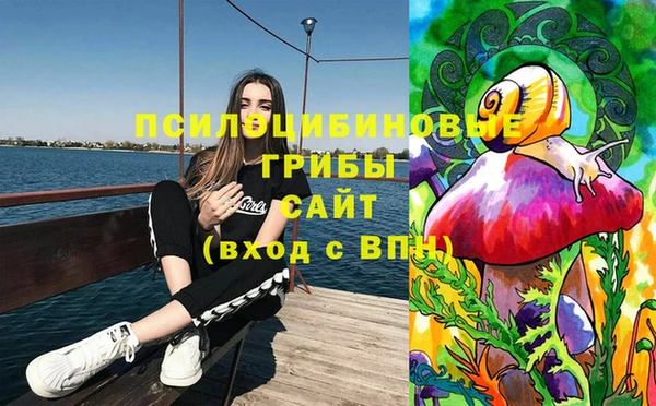 молекула духа Балахна
