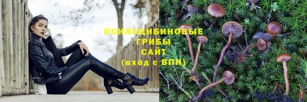 молекула духа Балахна